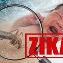 바이러스 이미지