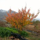 어질농장 이미지