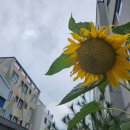 한그루공인중개사사무소 이미지