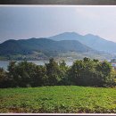 토지나라공인중개사사무소 이미지