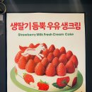 투썸플레이스 양평양수점