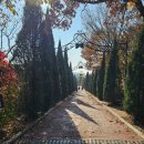 퍼스트가든 동물카페 | 파주야외웨딩 | 퍼스트가든웨딩 뷔페 후기(정원 놀거리, 동물먹이주기, 수목원)