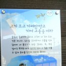 인천대공원(자전거광장) 이미지