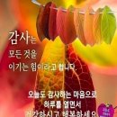아름다운삶