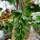 양남농장 이미지