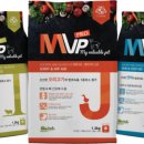엠브이피 이미지