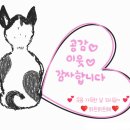 듀오렌터카 이미지