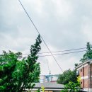 세븐일레븐 종로사직점 이미지