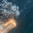 여름한컵 이미지