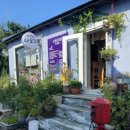 동해다방 이미지