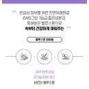 벨루스퀸 네이버블로그