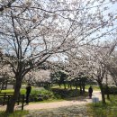 대왕수천 이미지