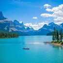 바람따라 이미지