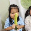 [퍼포먼스] 🥒오이마사지를 해요 (1) 이미지