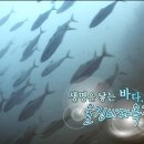 향유목장1 네이버블로그
