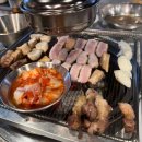 도야지 친구들 이미지