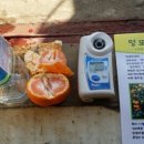 강정동-43 이미지