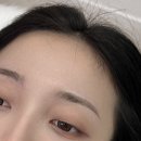 팽브로우 이미지