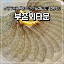 부촌횟집 | [대구 북구 횟집] 복현오거리 '부촌회타운' 내돈내산 솔직후기