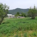 연산부자부동산중개사무소 이미지