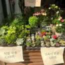 슬며들다.꽃 이미지