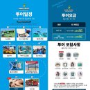 보홀 호핑투어 발리카삭 거북이 나팔링 보홀트래블 상세 후기
