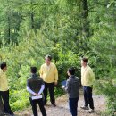 산림청 영월국유림관리소 이미지