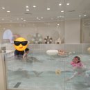 [경주 아이랑] 경주 키즈풀 파티룸 타이니아일랜드