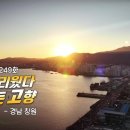 [249회] 동네 한 바퀴||| 한국인의 밥상[461회][464][463][595][596]회 이미지