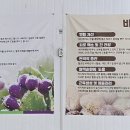 백년초바지락칼국수 이미지