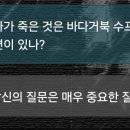 바다기획 이미지