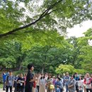 이날치 단독 콘서트 | 창덕궁 아침 산책 공연, 서울뮤직위크, 이날치공연