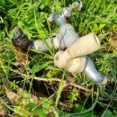 단수농장 이미지