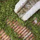 자연이숨쉬는집 이미지