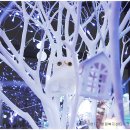 서현1동행정복지센터 이미지