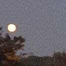 옛날금호식당 이미지