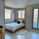 푸조와곰솔 이미지