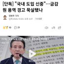 [단독] "국내 도입 신중"…레버리지 출시 전 금감원 용역 경고 묵살됐나 이미지