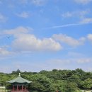 직동2길 | 7월 일기 #61 | 백조가 되지 않더라도 나는 이 오리를 영원히 사랑할 것이다
