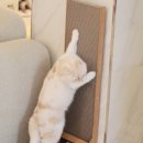 주)아토 이미지