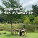 남원읍-66 | 제주 여행 1n회차러의 맛집, 카페, 숙소 추천 (2박3일 여행 코스)