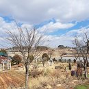 태안팜랜드 이미지