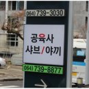 공육사 이미지