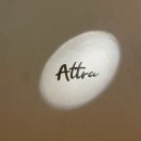 압구정 파인다이닝 : 가성비 좋은 &lt;아트라 Attra&gt; 프렌치 다이닝 런치코스 후기