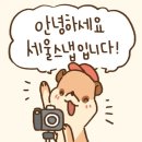 W. [세울스냅] 짝꿍할인 : 250809이호정, 가성비 본식...스냅, 서브스냅, 아이폰스냅, 꿀팁, DVD 예약 후기