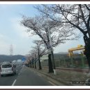 창원대로 이미지