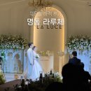 라루체 | 명동 라루체 주차 뷔페 라루체웨딩홀 하객 후기