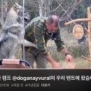 캠프하다 이미지