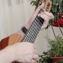 기타렐레(우쿨렐레) 이미지