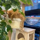 동대구동물의료센터 이미지